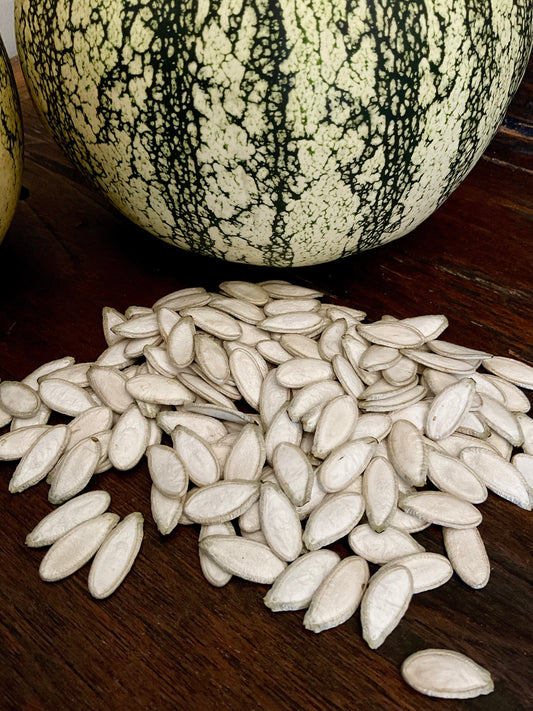 Silver Edged pumpkin seeds - (15x seeds)
