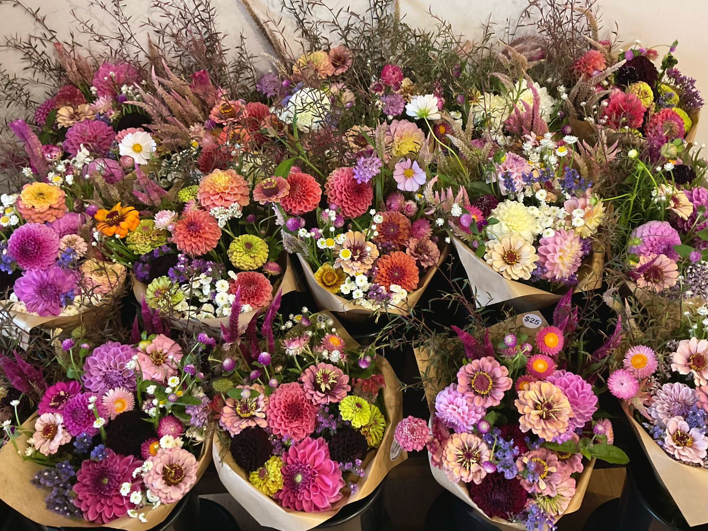 Zinnia Mix (30x seeds)