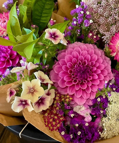 Phlox Cherry Caramel cut flower bouquet Our Mountain Garden Tamborine Mountain, Queensland, Australia