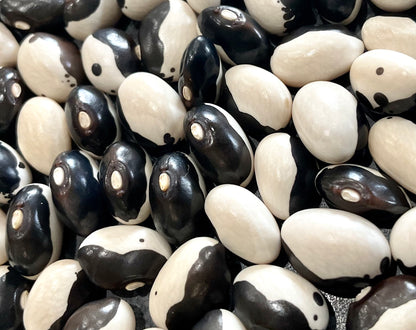 Bean - Yin-Yang