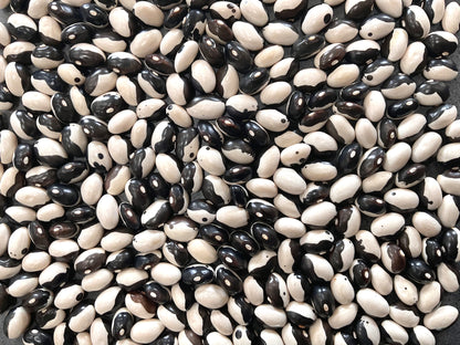 Bean - Yin-Yang