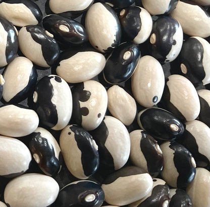 Bean - Yin-Yang