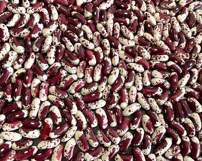 Bean - Jacob’s Cattle