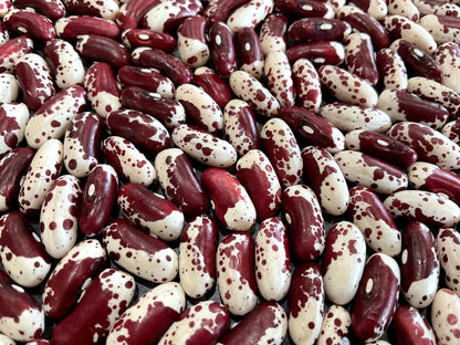 Bean - Jacob’s Cattle
