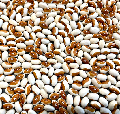 Bean - Butterscotch