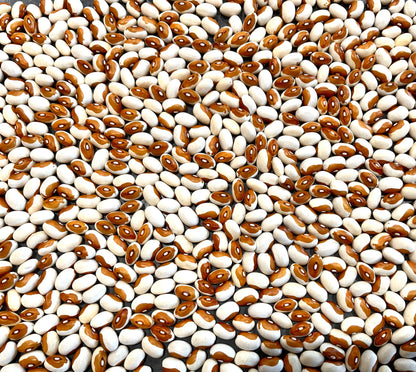 Bean - Butterscotch