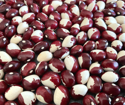 Bean - Frost