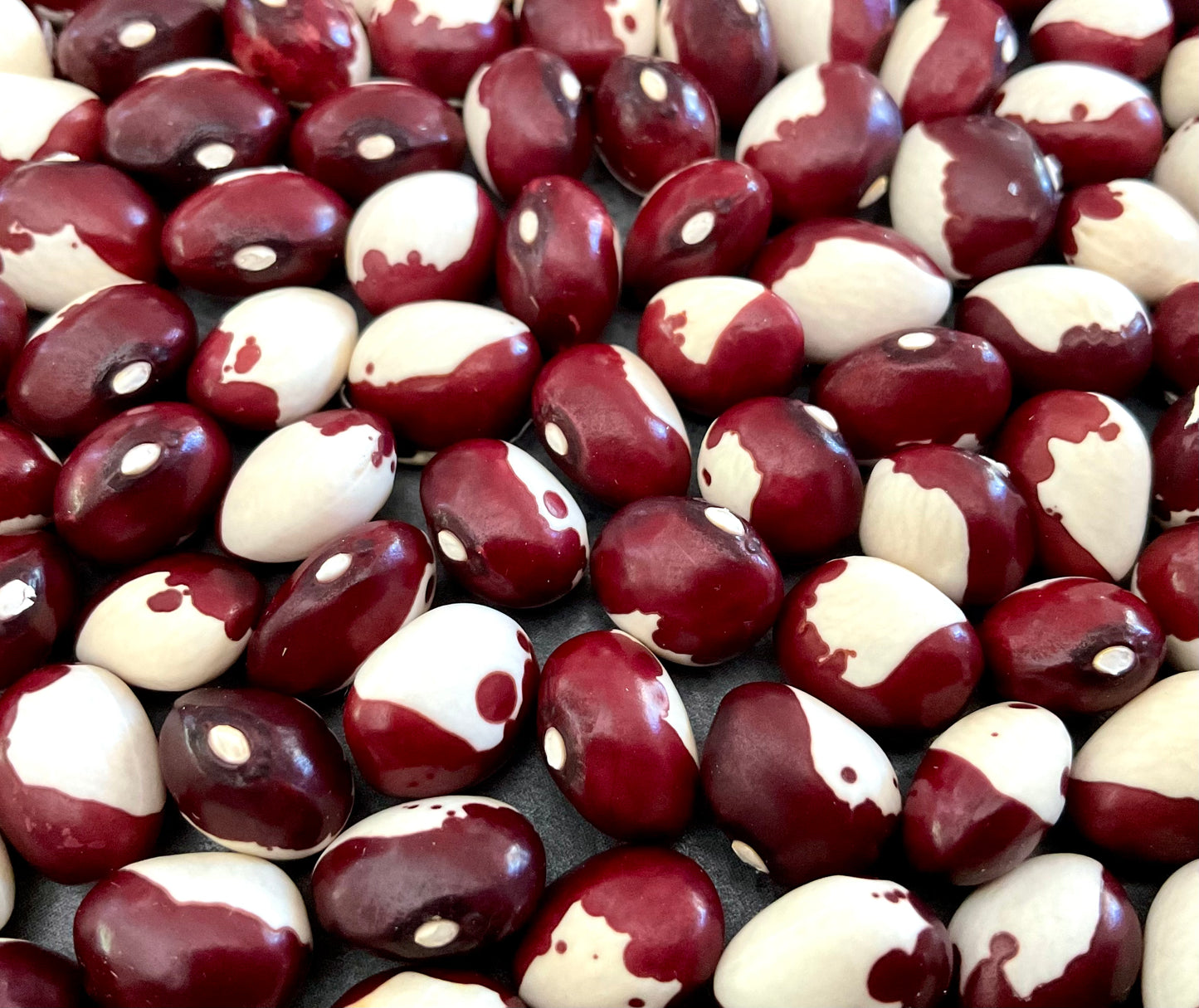 Bean - Frost