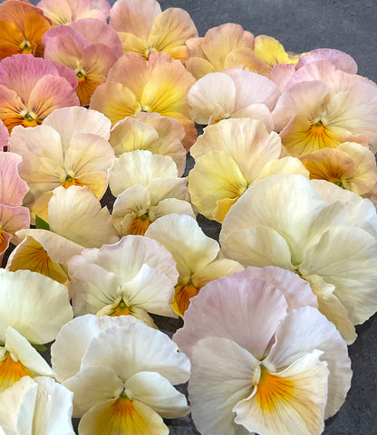 Pansy - Imperial Antique Shades - (25x Seeds)