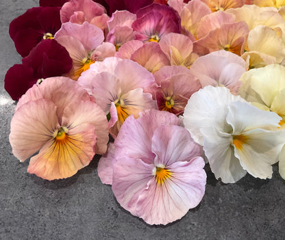 Pansy - Imperial Antique Shades - (25x Seeds)