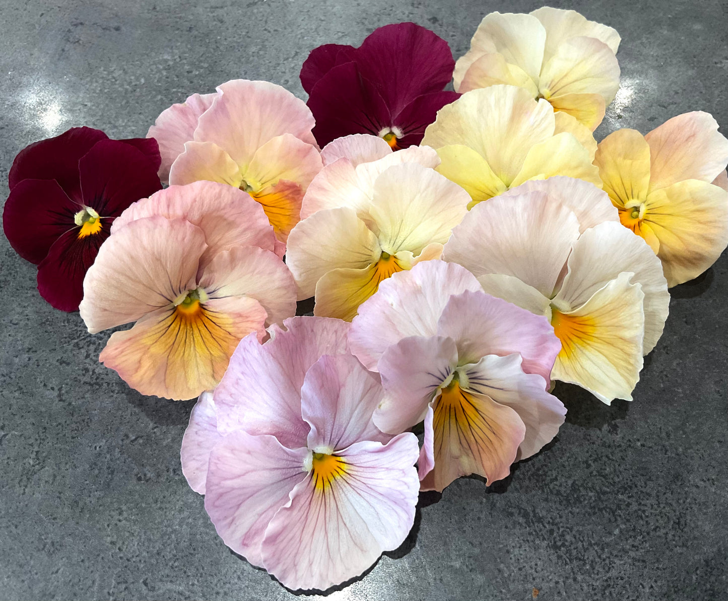 Pansy - Imperial Antique Shades - (25x Seeds)