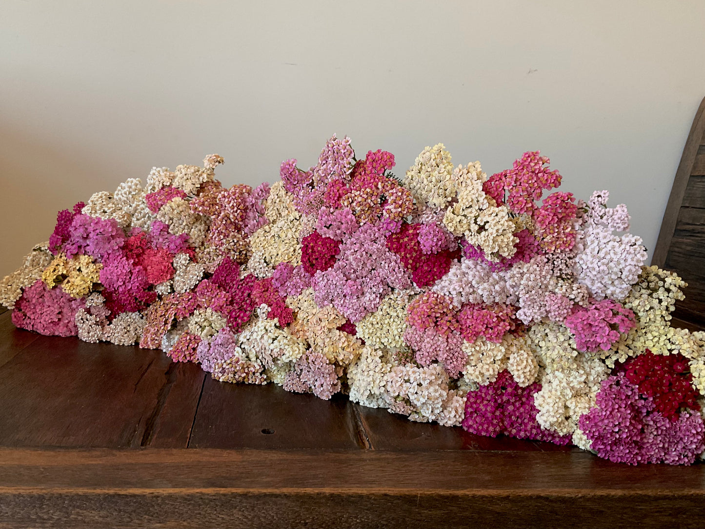 Yarrow - 'Summer Berries' - (50x Seeds)