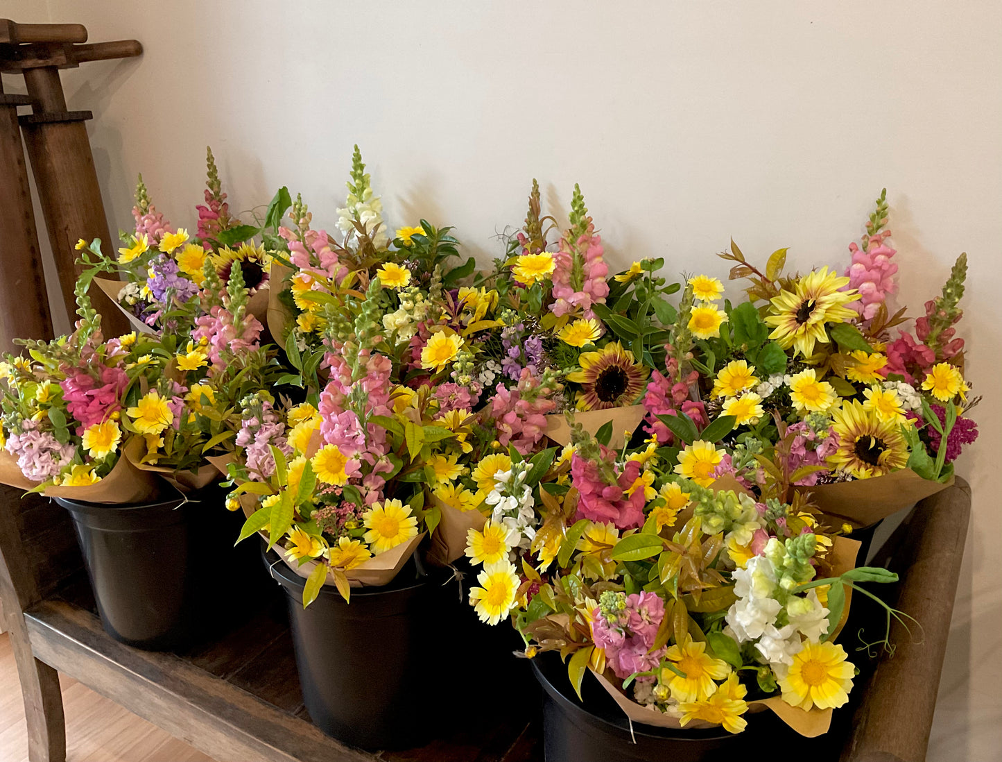 Edible Garland – Large Leaf Chrysanthemum - (150x seeds)
