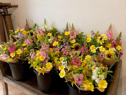 Edible Garland – Large Leaf Chrysanthemum - (150x seeds)