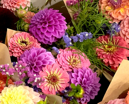 Zinnia 'Benary's Giant Bright Pink' - (30x seeds)