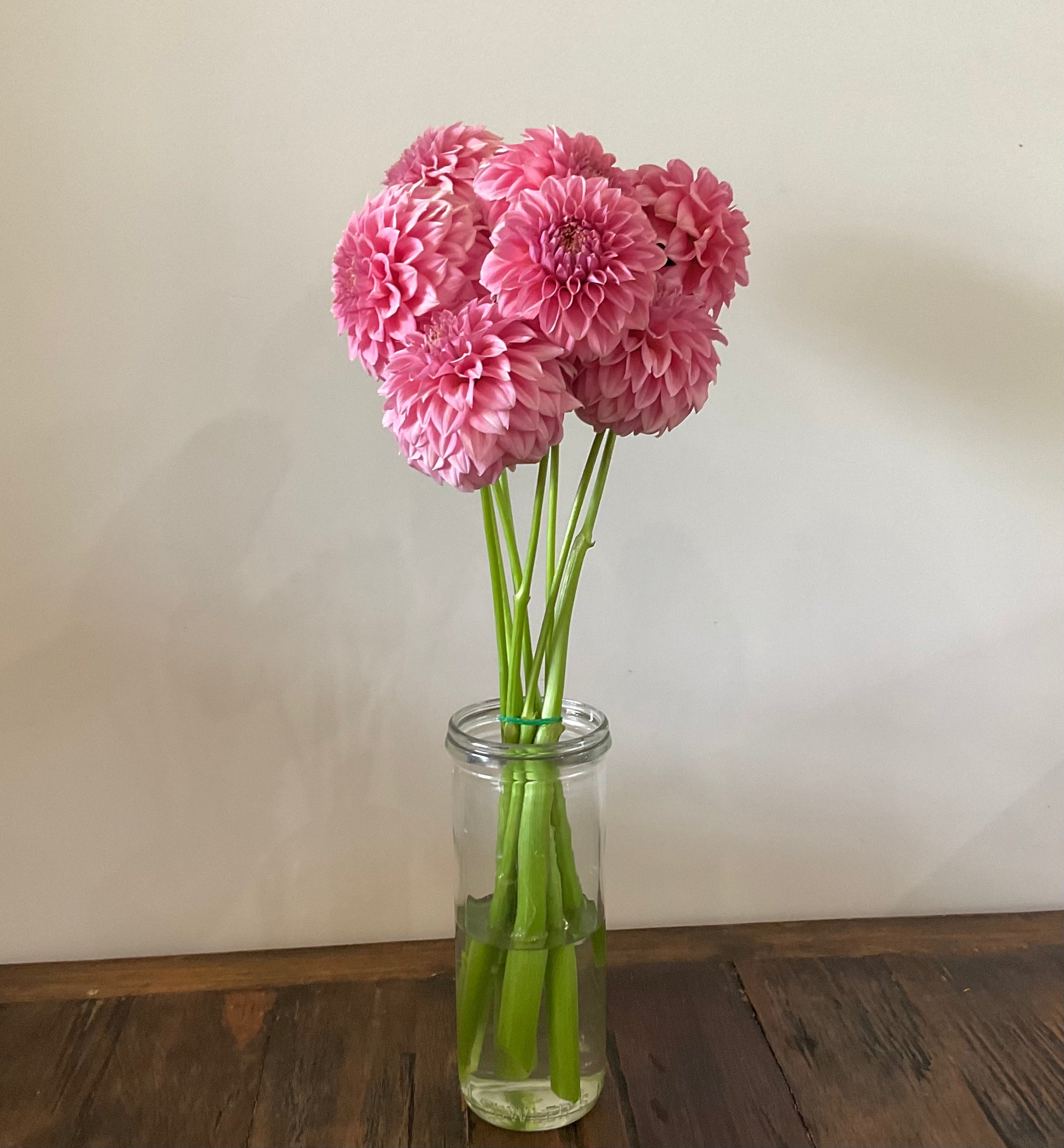 Devon Salmon dusty pink dahlia single variety vase arrangement Our Mountain Garden Tamborine Mountain