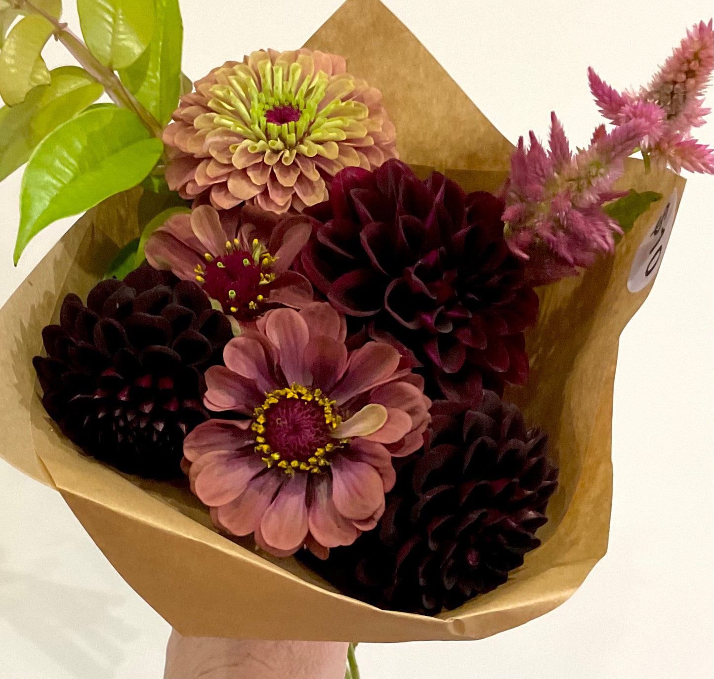 Zinnia Queen Lime Red mixed with dahlias celosia cut flower bouquet
