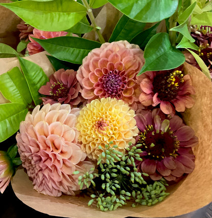Zinnia 'Queen Lime Red' - (20x seeds)