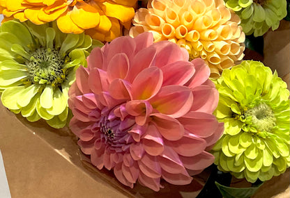 Zinnia 'Queen Lime' - (20x seeds)