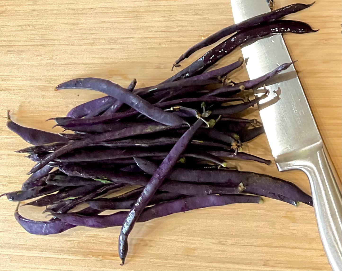Bean - Purple King