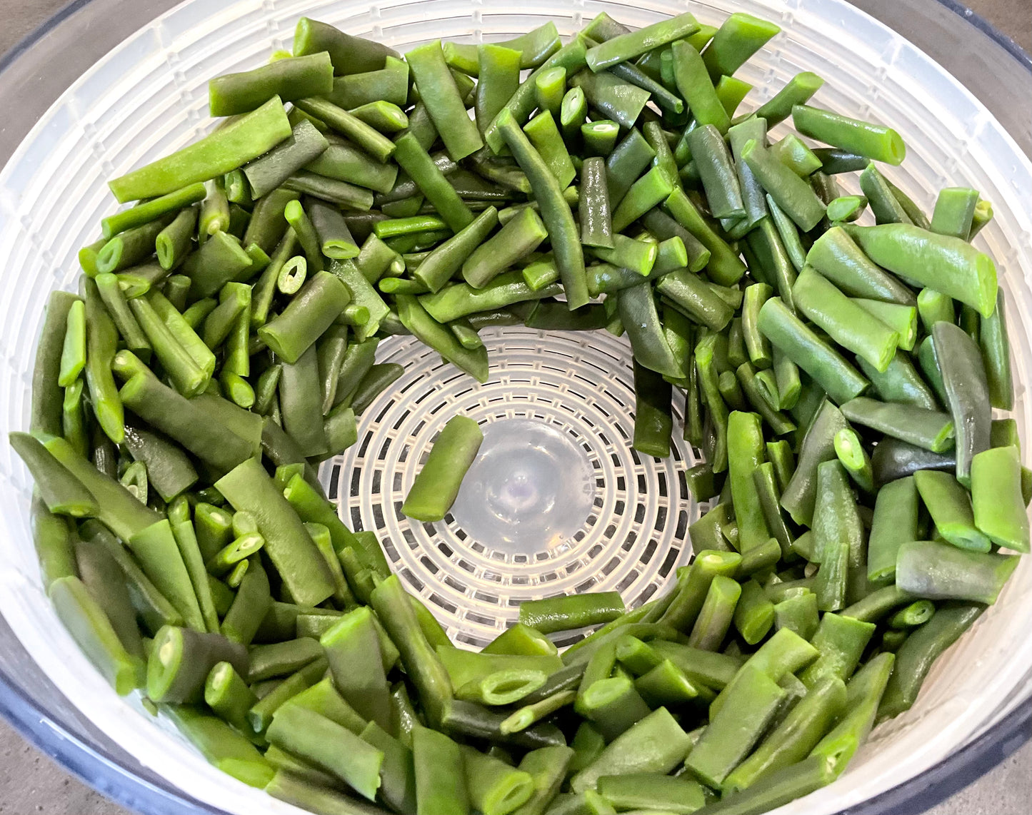 Bean - Purple King