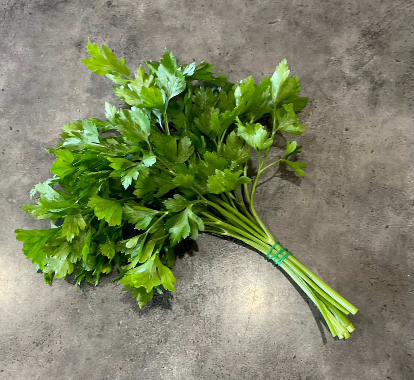 Flat Leaf Parsley (150x seeds)