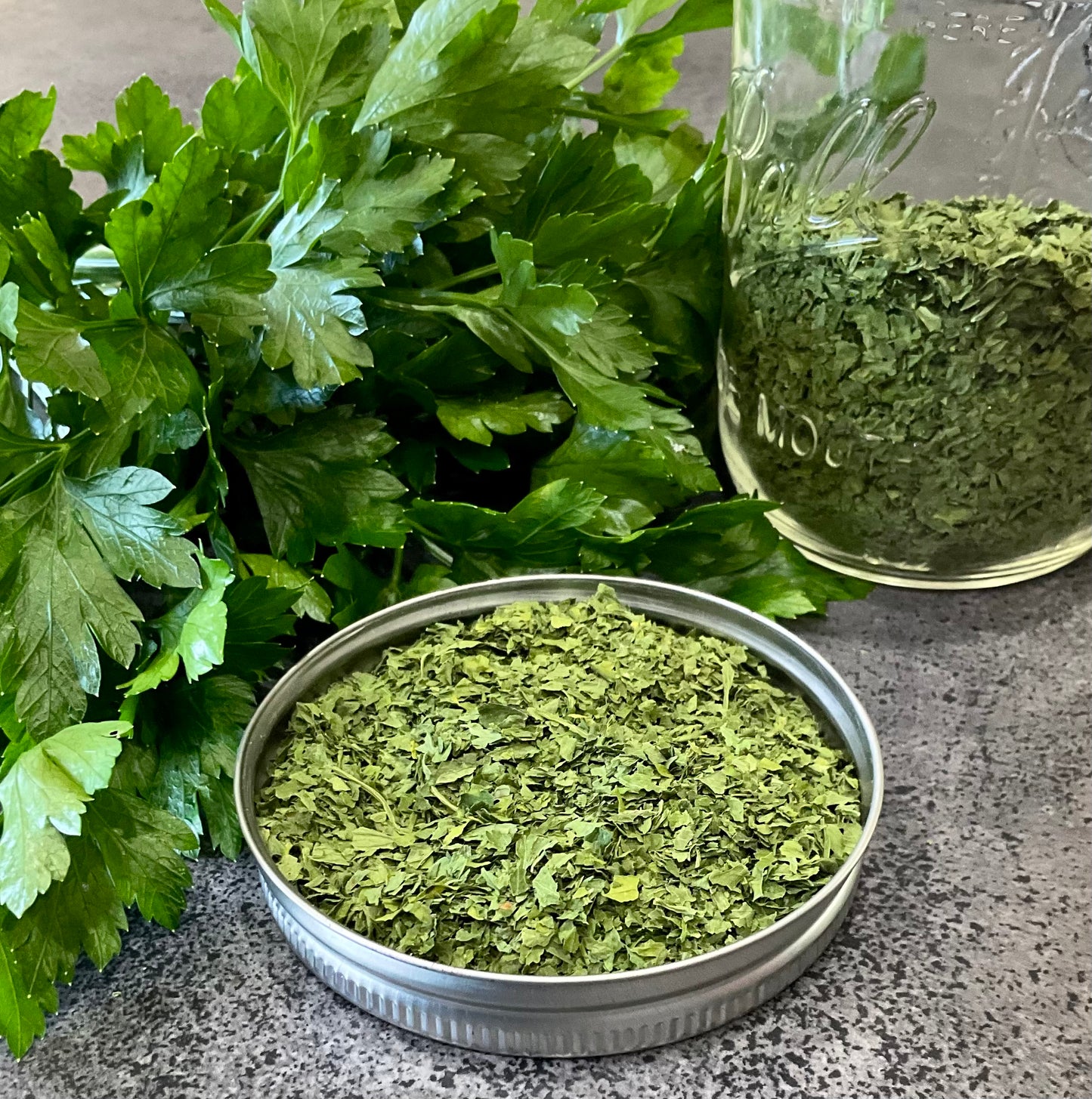 Flat Leaf Parsley (150x seeds)