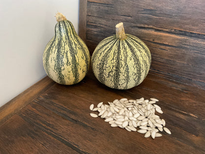 Silver Edged pumpkin seeds - (15x seeds)