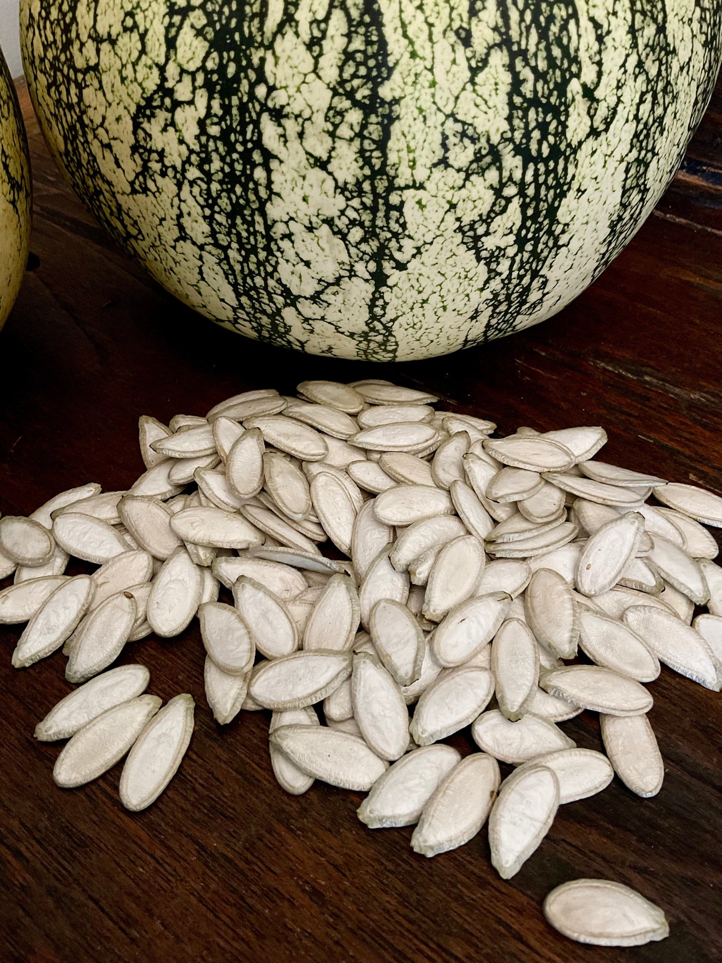 Silver Edged pumpkin seeds - (15x seeds)