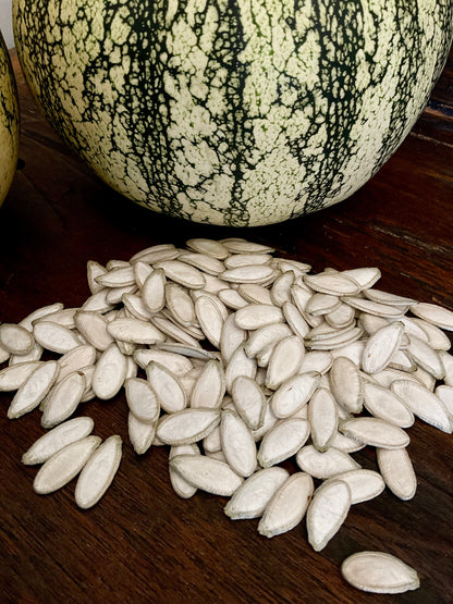 Silver Edged pumpkin seeds - (15x seeds)