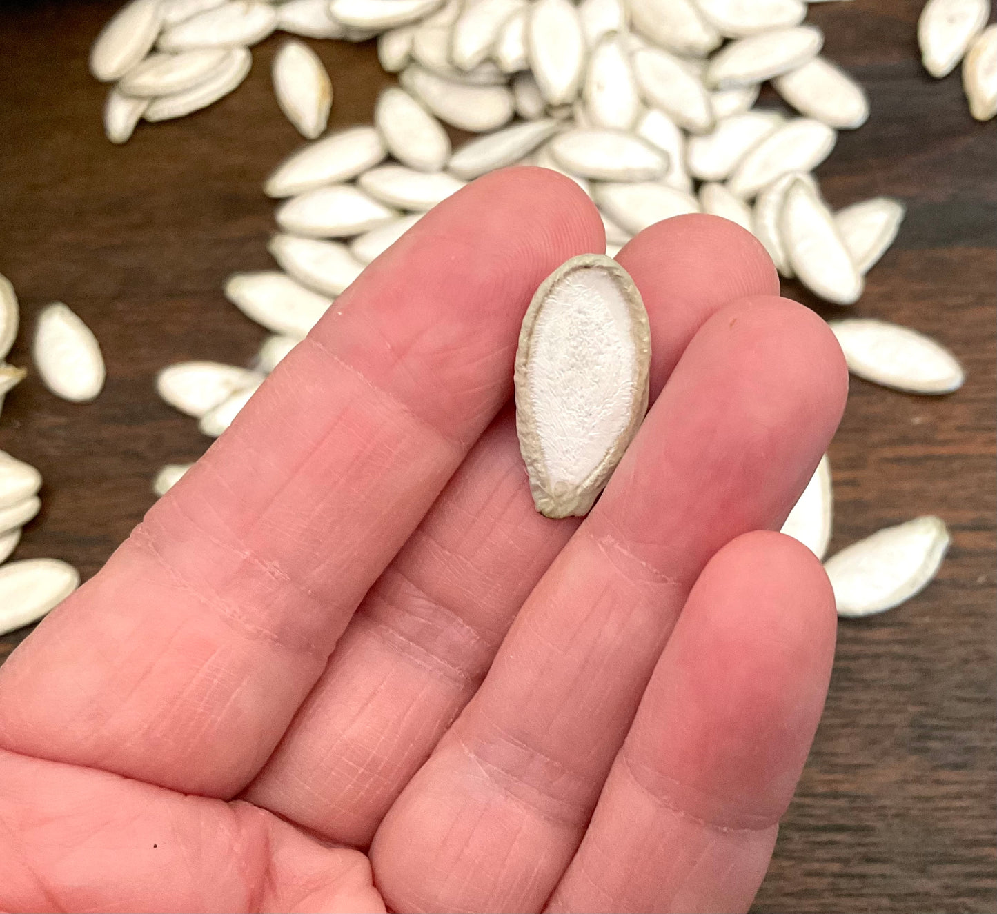 Silver Edged pumpkin seeds - (15x seeds)