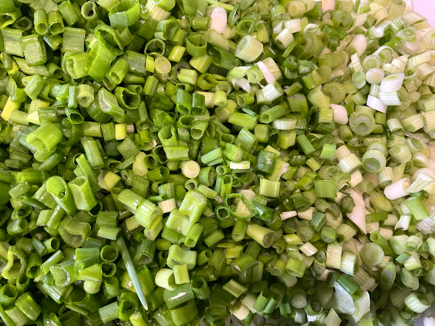 Spring Onion Bunching - White Lisbon - (150x seeds)