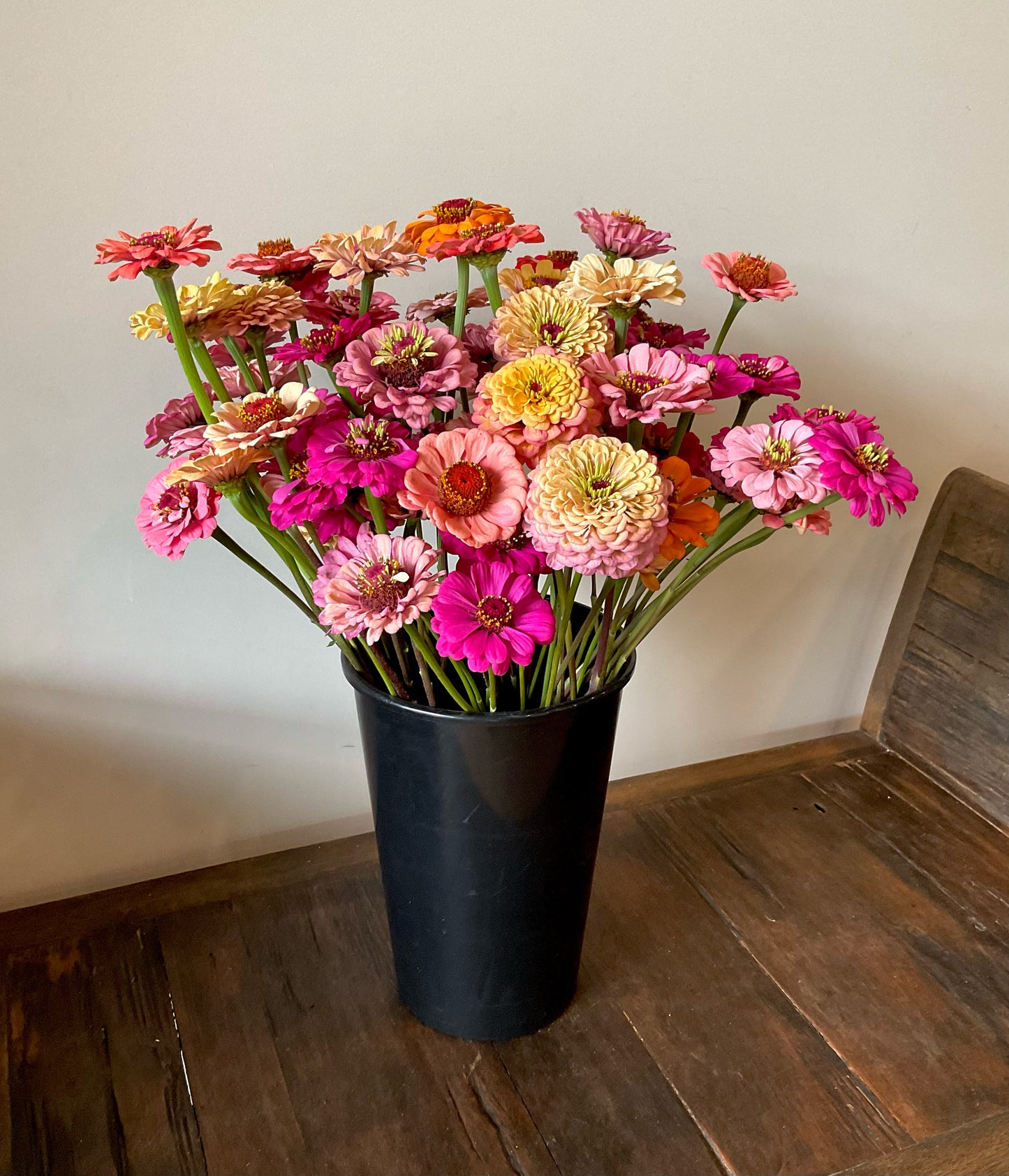 Zinnia Mix (30x seeds)
