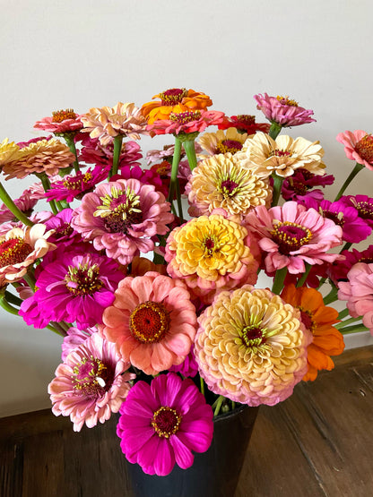 Zinnia Mix (30x seeds)